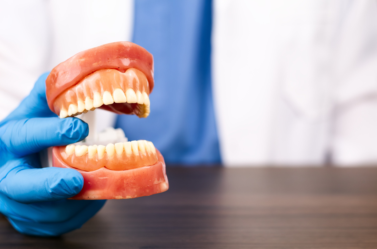 Professional dental consultation, anatomical model analysis, dental biomechanics, fixed prosthetics, gingival health, oral disease prevention, geriatric dentistry, medical care. Close-up of a dentist